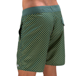 BROWNE Boardshorts Thomaz Barberino